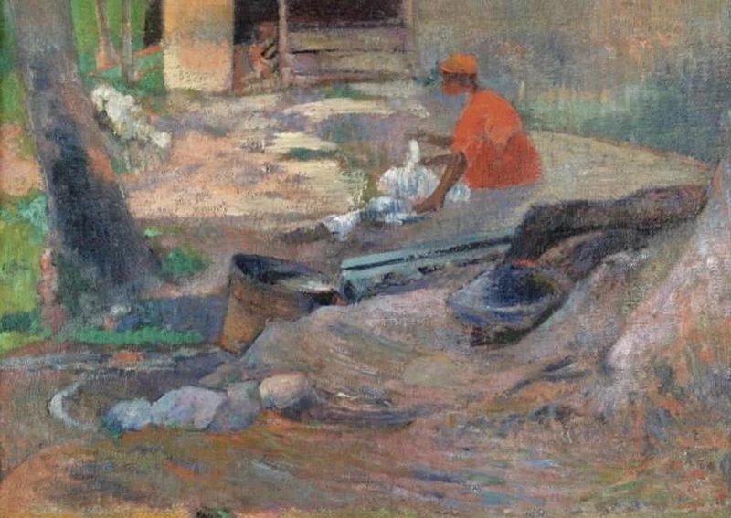 La piccola lavandaia